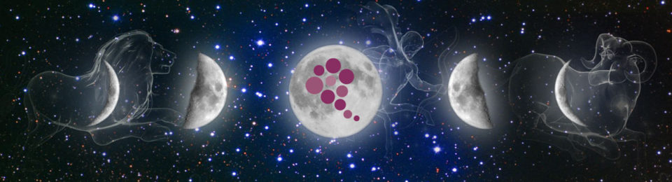 fazy księżyca i wina biodynamiczne